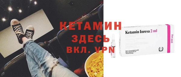 стаф Касимов