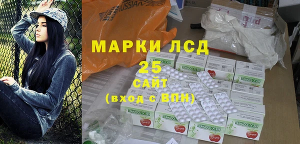 стаф Касимов