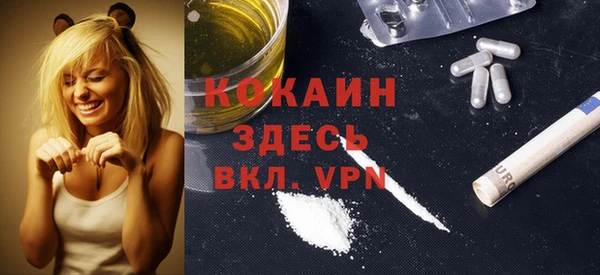 стаф Касимов