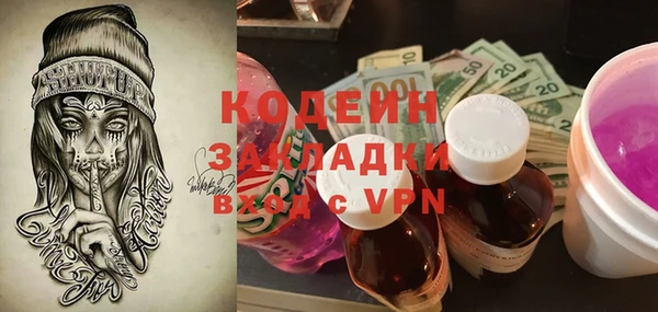 стаф Касимов