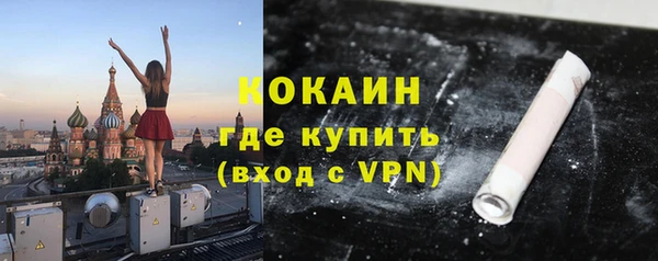 стаф Касимов