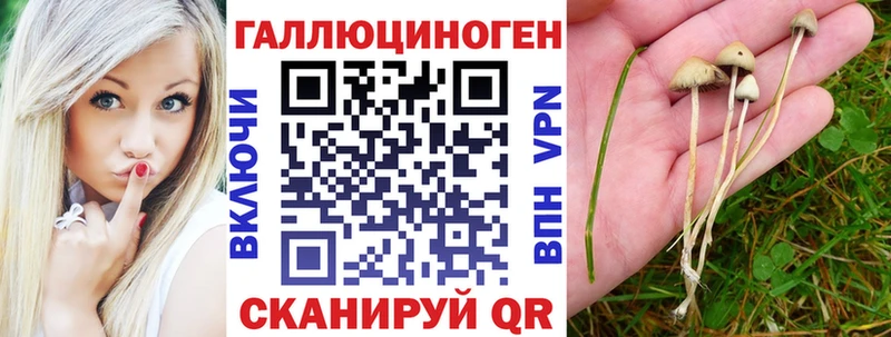 Купить где  Звенигово  Псилоцибиновые грибы Magic Shrooms 