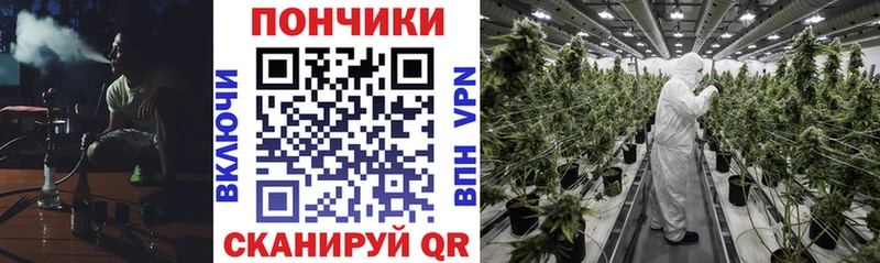 МАРИХУАНА конопля Звенигово